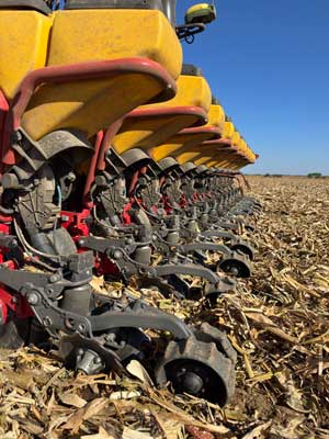 No-till vetés Precision Planting technológiával
